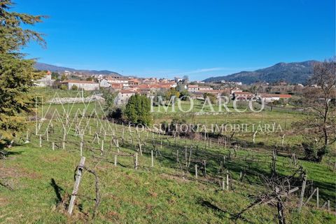 Farm i Cavez, Braga, Cavez - € 420.000 | Ref: ARCO(142) - foto 32
