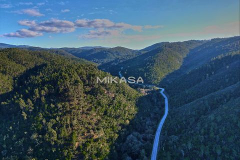 Helårsgrund i Marmelete, Faro, Marmelete - € 125.000 | Ref: T113 - foto 1