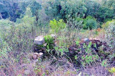 Helårsgrund i Marmelete, Faro, Marmelete - € 125.000 | Ref: T113 - foto 5