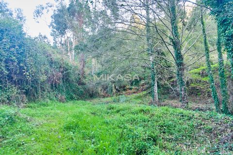 Helårsgrund i Marmelete, Faro, Marmelete - € 125.000 | Ref: T113 - foto 6