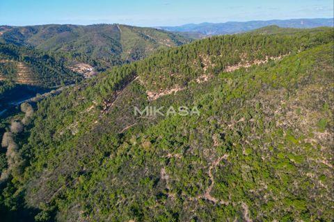 Helårsgrund i Marmelete, Faro, Marmelete - € 125.000 | Ref: T113 - foto 10