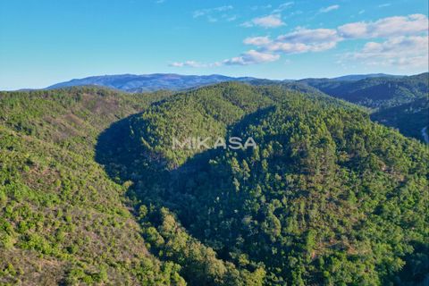 Helårsgrund i Marmelete, Faro, Marmelete - € 125.000 | Ref: T113 - foto 12
