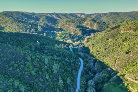 Helårsgrund i Marmelete, Faro, Marmelete - € 125.000 | Ref: T113 - foto 13