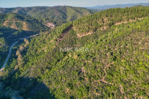 Helårsgrund i Marmelete, Faro, Marmelete - € 125.000 | Ref: T113 - foto 14