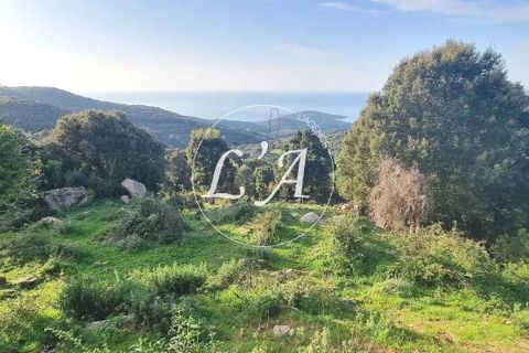 Terra a Coti-Chiavari, Corse-du-Sud, Coti-Chiavari - € 863.200 | Ref: COTM000625OLI - foto 4