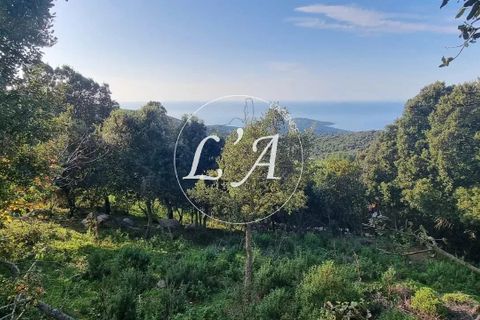 Terra a Coti-Chiavari, Corse-du-Sud, Coti-Chiavari - € 863.200 | Ref: COTM000625OLI - foto 7