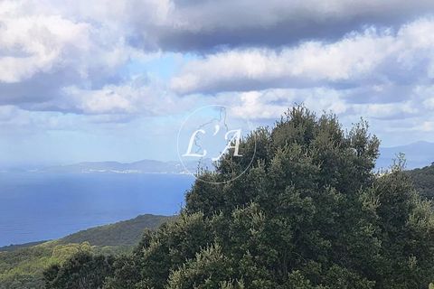 Terra a Coti-Chiavari, Corse-du-Sud, Coti-Chiavari - € 863.200 | Ref: COTM000625OLI - foto 11
