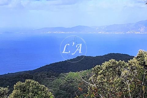 Terra a Coti-Chiavari, Corse-du-Sud, Coti-Chiavari - € 863.200 | Ref: COTM000625OLI - foto 13