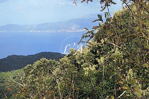 Terra a Coti-Chiavari, Corse-du-Sud, Coti-Chiavari - € 863.200 | Ref: COTM000625OLI - foto 14