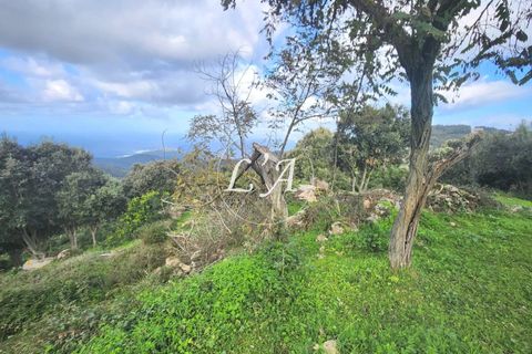 Terra a Coti-Chiavari, Corse-du-Sud, Coti-Chiavari - € 863.200 | Ref: COTM000625OLI - foto 16