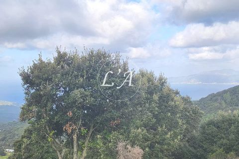 Terra a Coti-Chiavari, Corse-du-Sud, Coti-Chiavari - € 863.200 | Ref: COTM000625OLI - foto 17