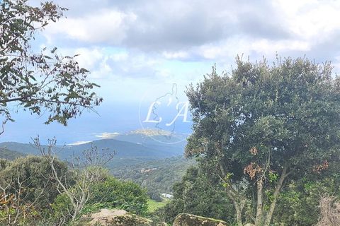 Terra a Coti-Chiavari, Corse-du-Sud, Coti-Chiavari - € 863.200 | Ref: COTM000625OLI - foto 18