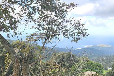 Terra a Coti-Chiavari, Corse-du-Sud, Coti-Chiavari - € 863.200 | Ref: COTM000625OLI - foto 19