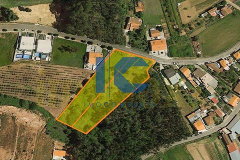 Helårsgrund i Agueda, Aveiro, Agueda - € 97.000 | Ref: 20241100101 - foto 2