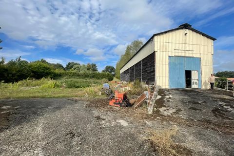Landejendom i Gaudies, Ariege, Gaudies - € 212.500 | Ref: 85286287 - foto 11