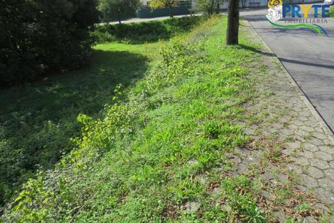Helårsgrund i Serta, Castelo Branco, Serta - € 29.500 | Ref: VF310 - foto 1
