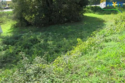 Helårsgrund i Serta, Castelo Branco, Serta - € 29.500 | Ref: VF310 - foto 4