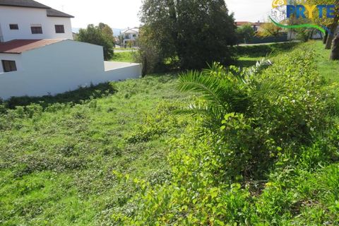 Helårsgrund i Serta, Castelo Branco, Serta - € 29.500 | Ref: VF309 - foto 2