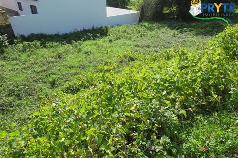 Helårsgrund i Serta, Castelo Branco, Serta - € 29.500 | Ref: VF309 - foto 3