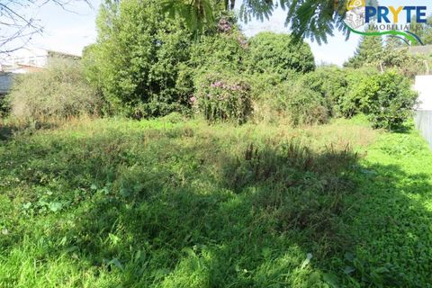 Helårsgrund i Serta, Castelo Branco, Serta - € 70.000 | Ref: VF307 - foto 4