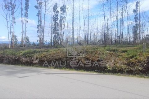 Helårsgrund i Aveiro, Aveiro, Aveiro - € 95.000 | Ref: #ACMC308 - foto 9