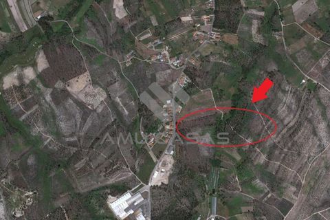 Helårsgrund i Aveiro, Aveiro, Aveiro - € 95.000 | Ref: #ACMC308 - foto 12