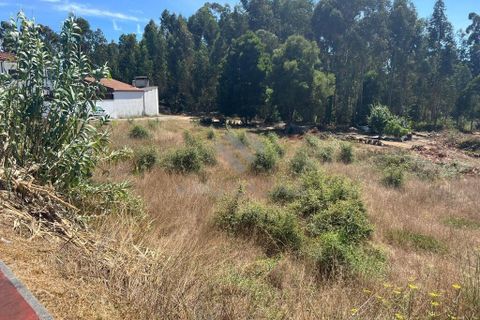 Helårsgrund i Anadia, Aveiro, Anadia - € 120.000 | Ref: LP11072023 - foto 1