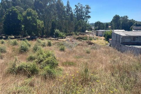 Helårsgrund i Anadia, Aveiro, Anadia - € 120.000 | Ref: LP11072023 - foto 3