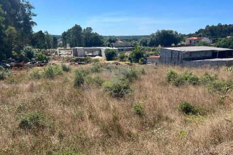 Helårsgrund i Anadia, Aveiro, Anadia - € 120.000 | Ref: LP11072023 - foto 4