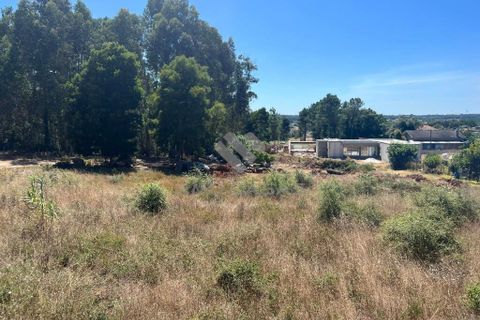 Helårsgrund i Anadia, Aveiro, Anadia - € 120.000 | Ref: LP11072023 - foto 5