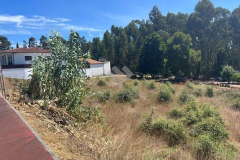 Helårsgrund i Anadia, Aveiro, Anadia - € 120.000 | Ref: LP11072023 - foto 6