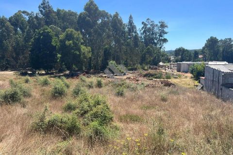 Helårsgrund i Anadia, Aveiro, Anadia - € 120.000 | Ref: LP11072023 - foto 7