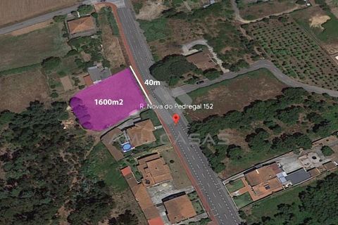 Helårsgrund i Anadia, Aveiro, Anadia - € 120.000 | Ref: LP11072023 - foto 9