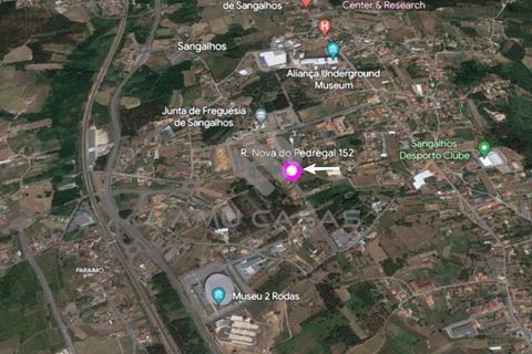 Helårsgrund i Anadia, Aveiro, Anadia - € 120.000 | Ref: LP11072023 - foto 10