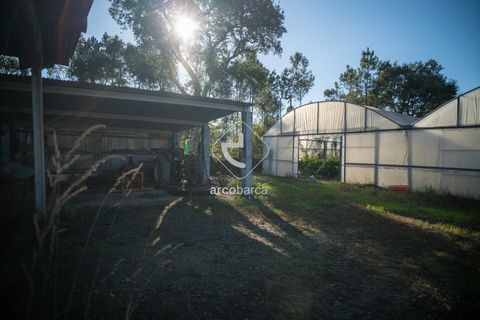 Landejendom i Valenca, Viana do Castelo, Valenca - € 650.000 | Ref: AV6166 - foto 6