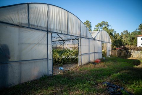Landejendom i Valenca, Viana do Castelo, Valenca - € 650.000 | Ref: AV6166 - foto 10
