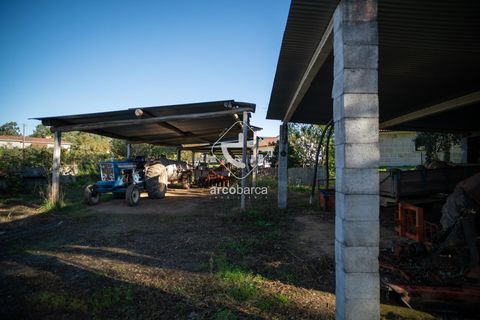 Landejendom i Valenca, Viana do Castelo, Valenca - € 650.000 | Ref: AV6166 - foto 28