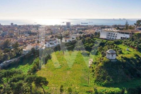 Farm i Setubal, Setubal, Setubal - € 5.000.000 | Ref: 1196-5845 - foto 3