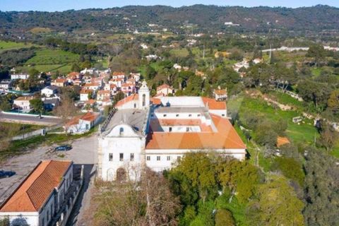 Farm i Setubal, Setubal, Setubal - € 5.000.000 | Ref: 1196-5845 - foto 6