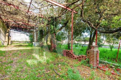 Farm i Setubal, Setubal, Setubal - € 5.000.000 | Ref: 1196-5845 - foto 8