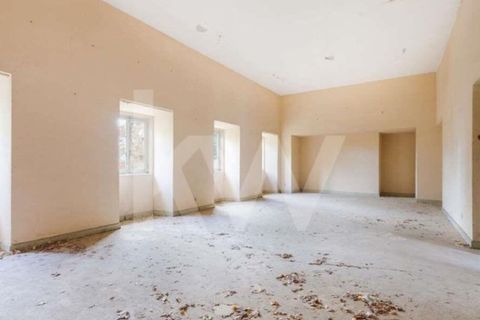 Farm i Setubal, Setubal, Setubal - € 5.000.000 | Ref: 1196-5845 - foto 26