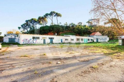 Farm i Setubal, Setubal, Setubal - € 5.000.000 | Ref: 1196-5845 - foto 40