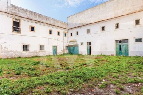Farm i Setubal, Setubal, Setubal - € 5.000.000 | Ref: 1196-5845 - foto 41