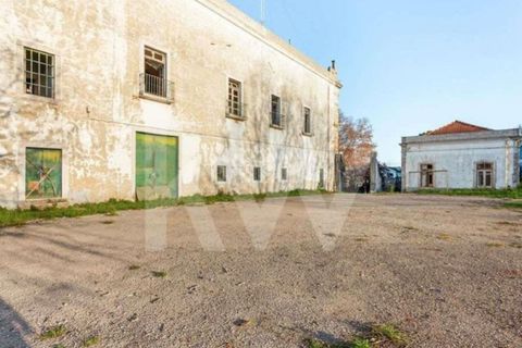 Farm i Setubal, Setubal, Setubal - € 5.000.000 | Ref: 1196-5845 - foto 43