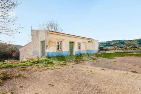 Farm i Setubal, Setubal, Setubal - € 5.000.000 | Ref: 1196-5845 - foto 44