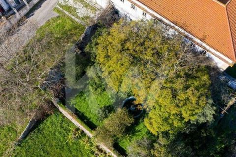 Farm i Setubal, Setubal, Setubal - € 5.000.000 | Ref: 1196-5845 - foto 50