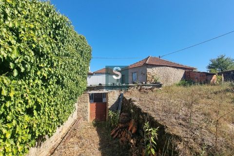Villa i Mortagua, Viseu, Mortagua - € 39.900 | Ref: SH0041-2024 - foto 17