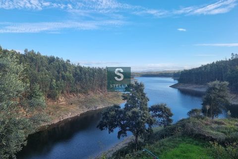 Helårsgrund i Mortagua, Viseu, Mortagua - € 35.000 | Ref: SH0042-2024 - foto 7