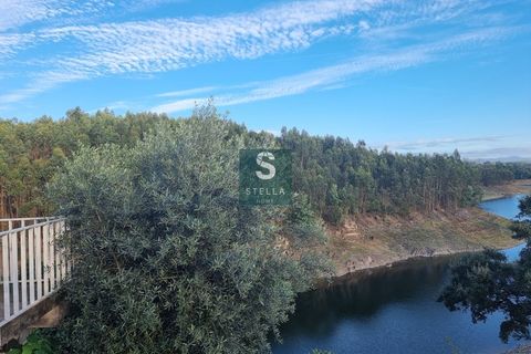 Helårsgrund i Mortagua, Viseu, Mortagua - € 35.000 | Ref: SH0042-2024 - foto 9