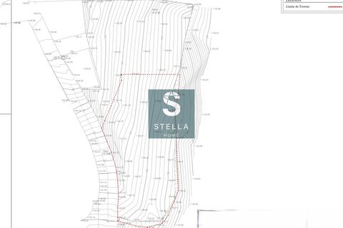 Helårsgrund i Mortagua, Viseu, Mortagua - € 35.000 | Ref: SH0042-2024 - foto 19